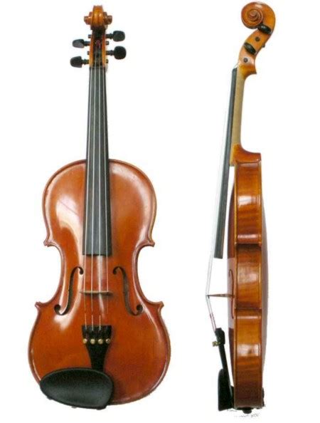 Violin - musical instrument, string instrument, violin music