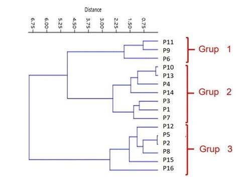 Dendrogram Resulting From Cluster Analysis Through Upgma Euclidean