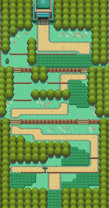 Pokémon Or Heart Gold Et Argent Soul Silver Route 1