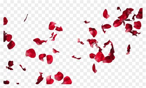 Flower Petal Overlay Free Best Flower Site