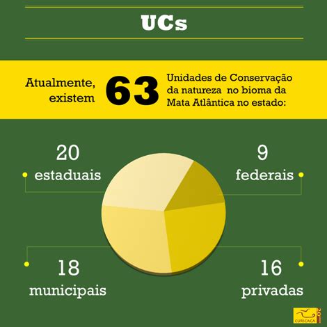 Infogr Fico Mata Atl Ntica