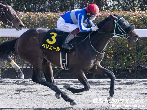 【格言から探る勝ち馬予想】ユニコーンs2023「ダートの重賞は交流重賞好走馬から」｜競馬ニュース｜競馬予想のウマニティ