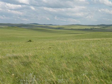 Eurasian Steppe | Eurasian steppe, Steppe, Fantasy landscape