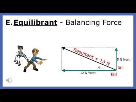 What Is An Equilibrant Force In Physics