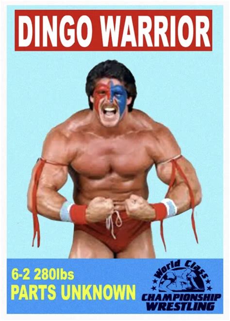 LJACARDS WCCW HISTORY OF WRESTLING TRADING CARDS 2023 – DINGO WARRIOR ...