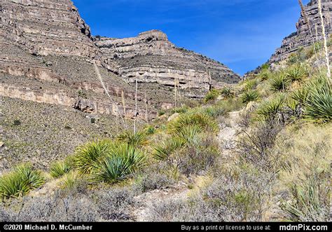 Dog Canyon Picture 020 November 16 2020 From Oliver Lee Memorial