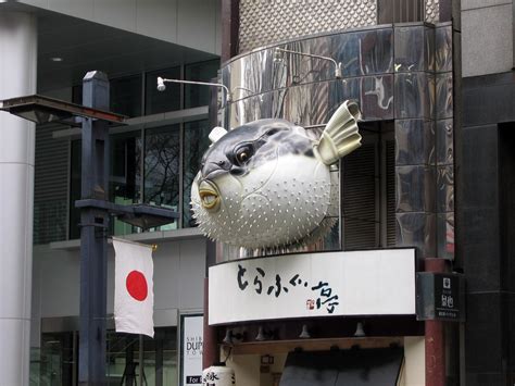 Fugu Restaurant Shibuya The Deadly Fugu Pufferfish That Flickr