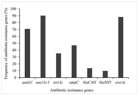 Antibiotics Free Full Text Molecular Detection Of Antibiotic