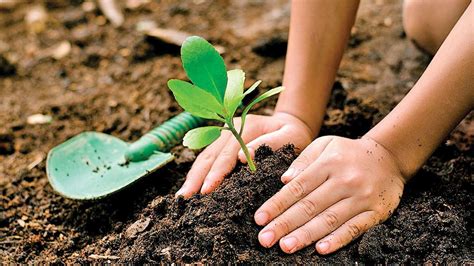 India News Tami Nadu District To Create World Record By Planting