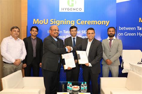 The Hydrogen Stream Hygenco To Set Up Green Hydrogen Ammonia Project