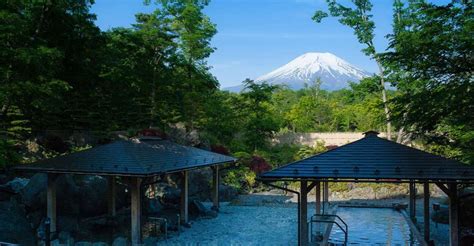 Da Tokyo Escursione Al Monte Fuji Con Le Sorgenti Termali Di