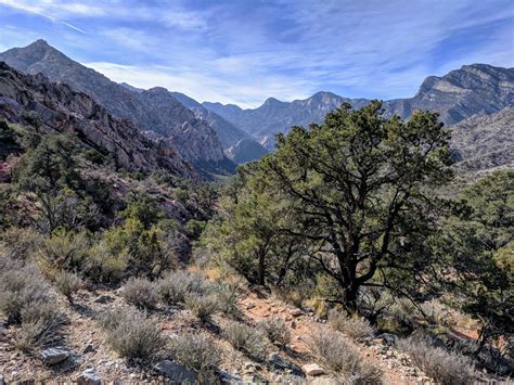 White Rock Loop, Red Rock Canyon National Conservation Area, Nevada