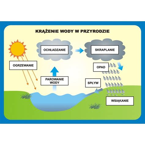 Przyroda Zestaw Plansz W Wersji Drukowanej Program Cd