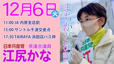 2022年12月 茨城県議候補 江尻かなの主な遊説日程（終了） Kanaweb 日本共産党 茨城県議 江尻かな Official Website