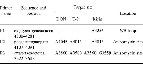 Table 1 From Comparative Induction Of 28S Ribosomal RNA Cleavage By