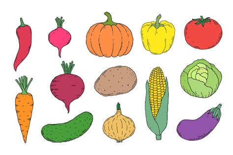 Premium Vector Collection Of Hand Drawn Vegetables Clipart