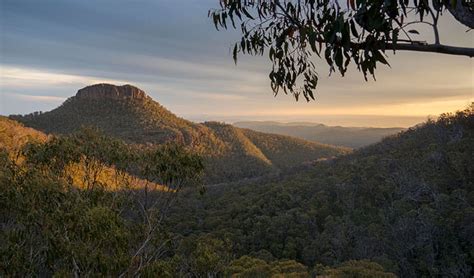 Mount Kaputar National Park Nsw National Parks