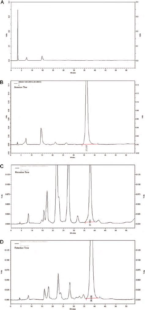 Representative Chromatograms Placebo Solution A Hca Standard Download Scientific Diagram