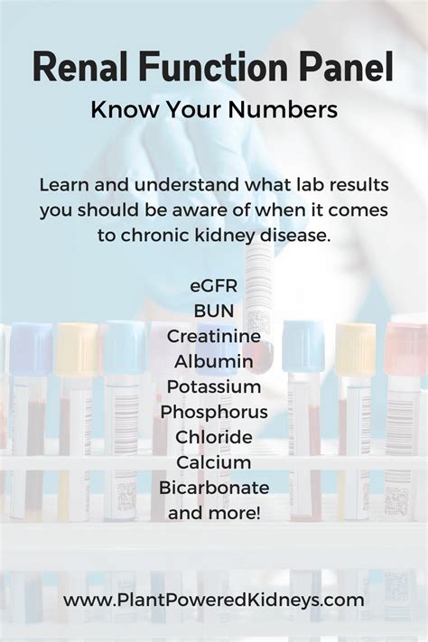 Renal Function Panel: Know Your Numbers | Plant-Powered Kidneys | Renal Diet For Kidney Health