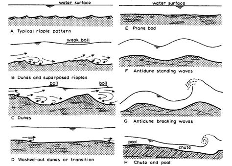 Bedforms And Roughness Coastal Wiki