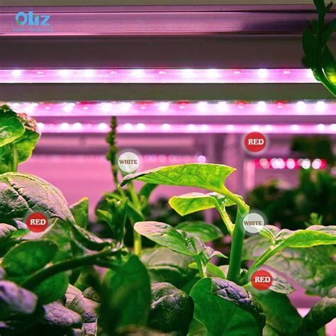 Starting A Hydroponic Farming System What You Need To Know About