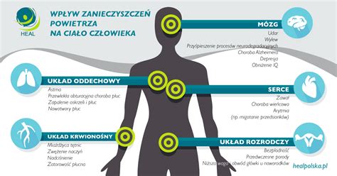 Jak zanieczyszczenie powietrza wpływa na zdrowie człowieka Urząd