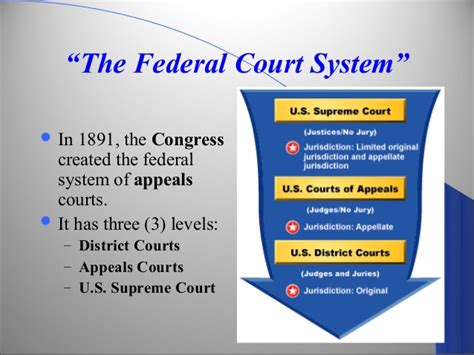 Section One The Federal Court System - Adair County R-1 Social Studies