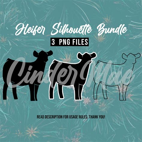 Show Heifer Silhouette Bundle 3 .PNG Files Livestock Digital Downloads ...