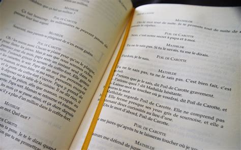 book reading read  photo  pixabay