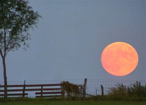 October 5 Promises a Harvest Moon: Farmers & Photographers Delight