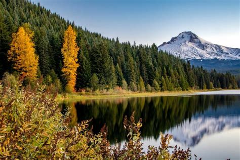 Reasons For A Fall Trip To Oregons Mt Hood Territory Portland Monthly