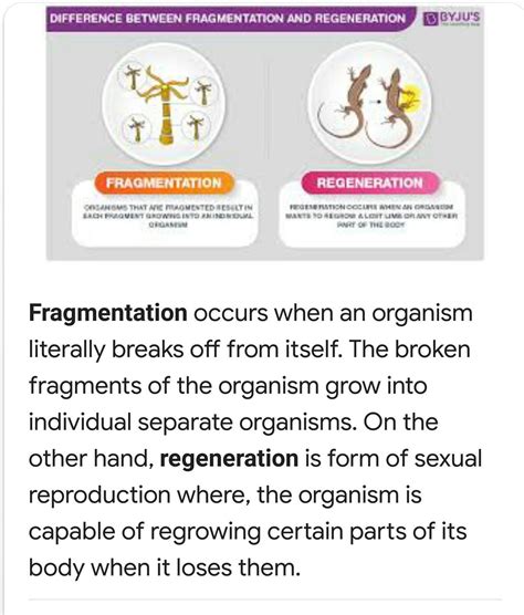 Differencr Between Fragmentation Vs Regeneration Brainly In