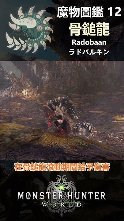 魔物圖鑑 12 骨鎚龍 Mhw 魔物獵人 魔物獵人世界 魔物獵人世界冰原 Youtube