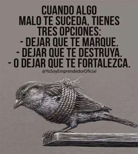 Pin By Bivian Ortiz On Frases Escoge La Q Te Guste In