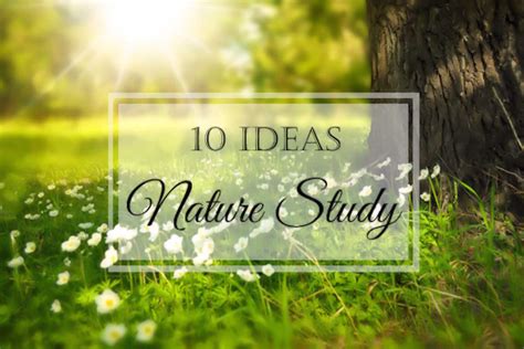 10 Easy Ways to Add Nature Study | DIY Homeschooler