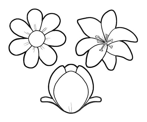 Dibujos Para Colorear De Flores Y Florecitas