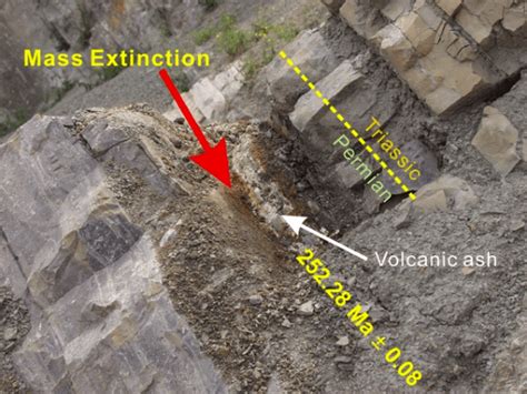 End Permian Mass Extinction Causes and Effects