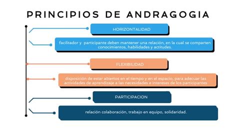 Principios De Andragogia