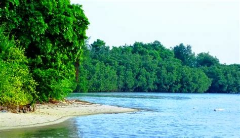 children's beach: HUTAN BAKAU