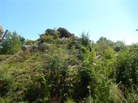 9/13/2020 - African Lion Habitat - Lower Viewing Area - ZooChat