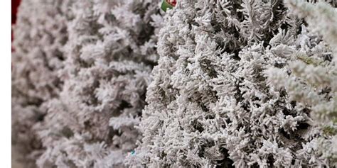 Best Flocked Christmas Trees You Can Find! (May 2024)