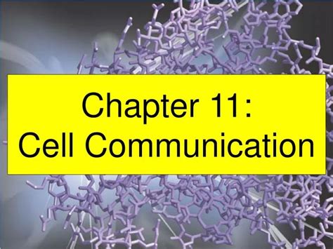 4 Types Of Cell Communication