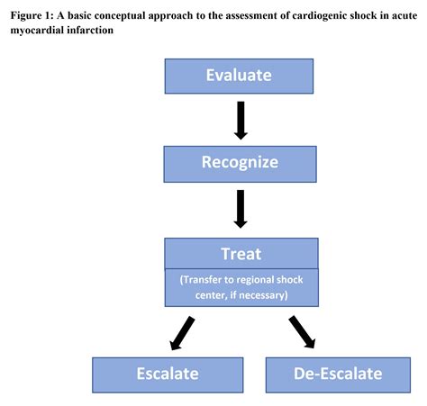 Management of Acute Myocardial Infarction With Cardiogenic Shock ...