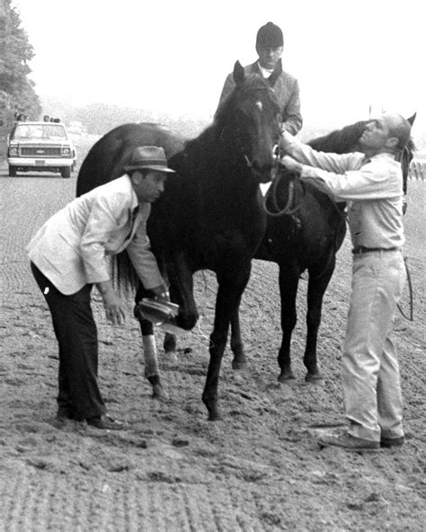 The Legendary "Battle of the Sexes" Horse Race that Ended in Tragedy ...