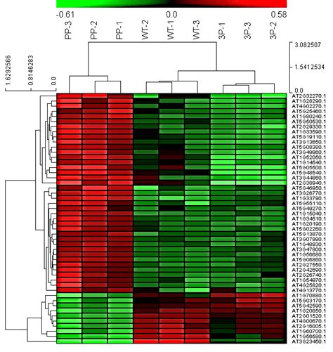 Comparative Proteomics Showing The Functions Of PDK1 And PEL1 In