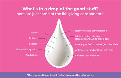 Feeding Your Baby Breast Milk Micronutrients 1 Natural Way