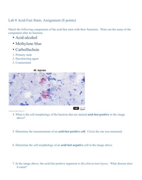 Solved Lab Acid Fast Stain Assignment Points Match Chegg