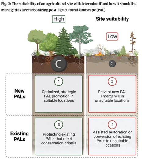 Nature Communications On Twitter Rt Naturecomms To Understand Post