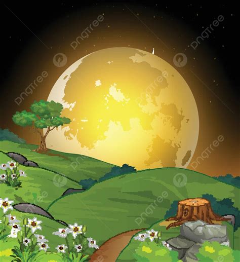 Cartoon Night View Of A Grass Field Landscape With White Ivy Flowers ...