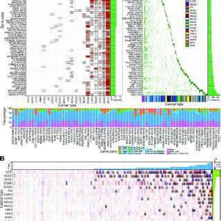 Synthetic Lethal Interaction And Drug Usage And Analysis Framework In